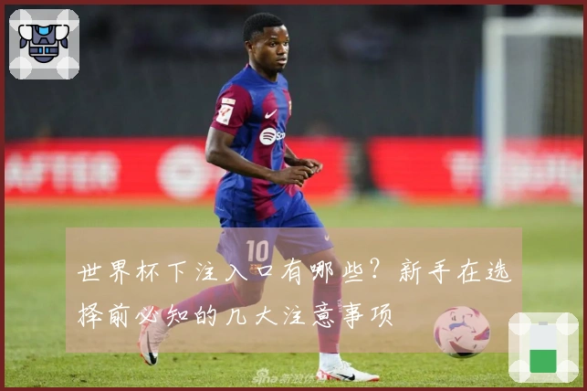 世界杯下注入口有哪些？新手在选择前必知的几大注意事项