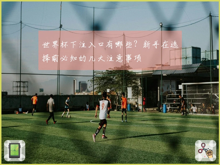 世界杯下注入口有哪些？新手在选择前必知的几大注意事项