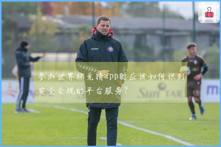 参加世界杯竞猜app时应该如何识别安全合规的平台服务？